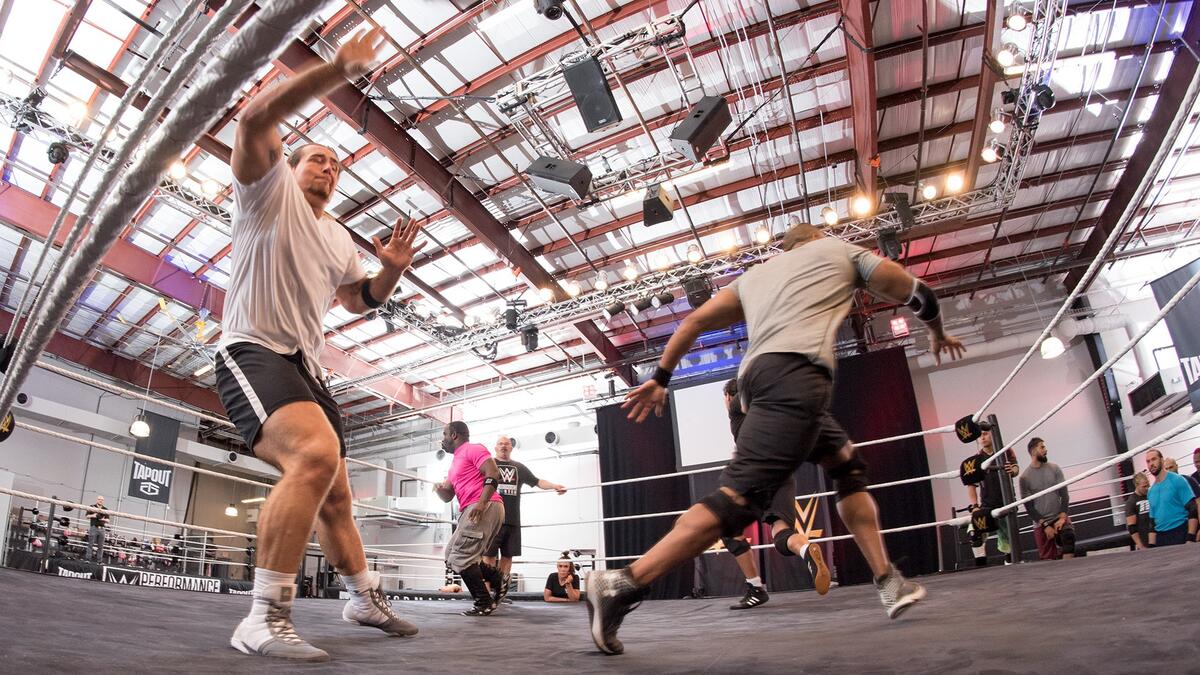 WWE Photo