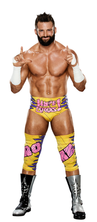 http://www.wwe.com/f/styles/gallery_img_s/public/all/2016/12/zack_ryder_stat--8738e4e5308ccaaf022af386de997379.png