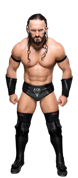http://www.wwe.com/f/styles/gallery_img_s/public/all/2017/01/Neville_stat--d025358b9f5b38a23a5b63a57e306ab9.png