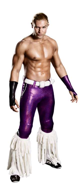 Tyler_Breeze_stat.png
