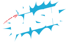 The Bash