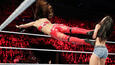 AJ Lee vs. Brie Bella: photos
