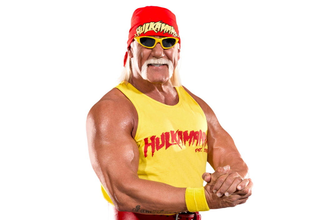 Hulk_Hogan_pro.png