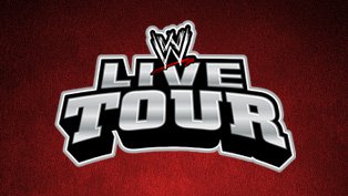 28/07 WWE w Brisbane, Australia - Wyniki