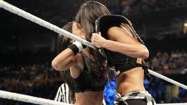 Brie Bella kissed AJ Lee at Survivor Series