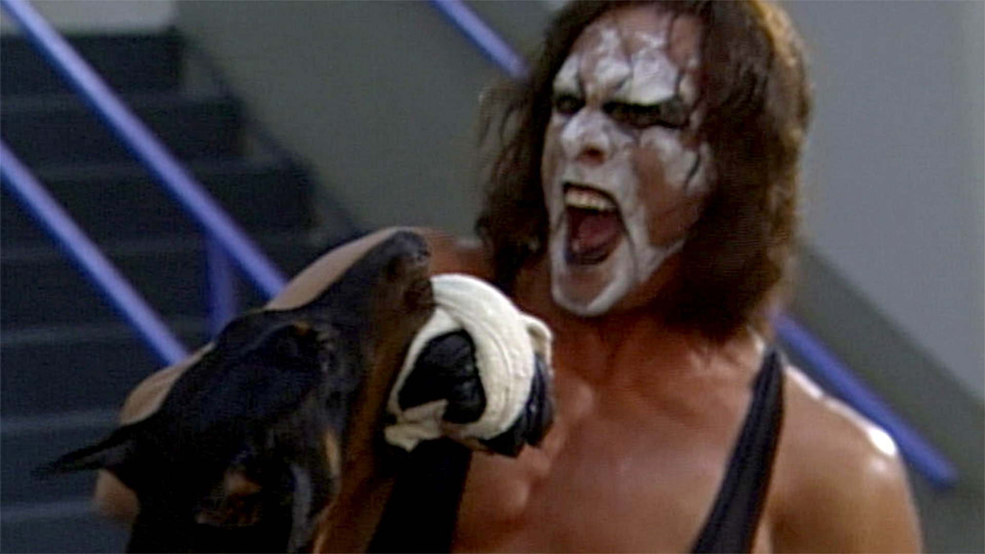 Scott Steiner unleashes the dogs on Sting: Great American Bash
