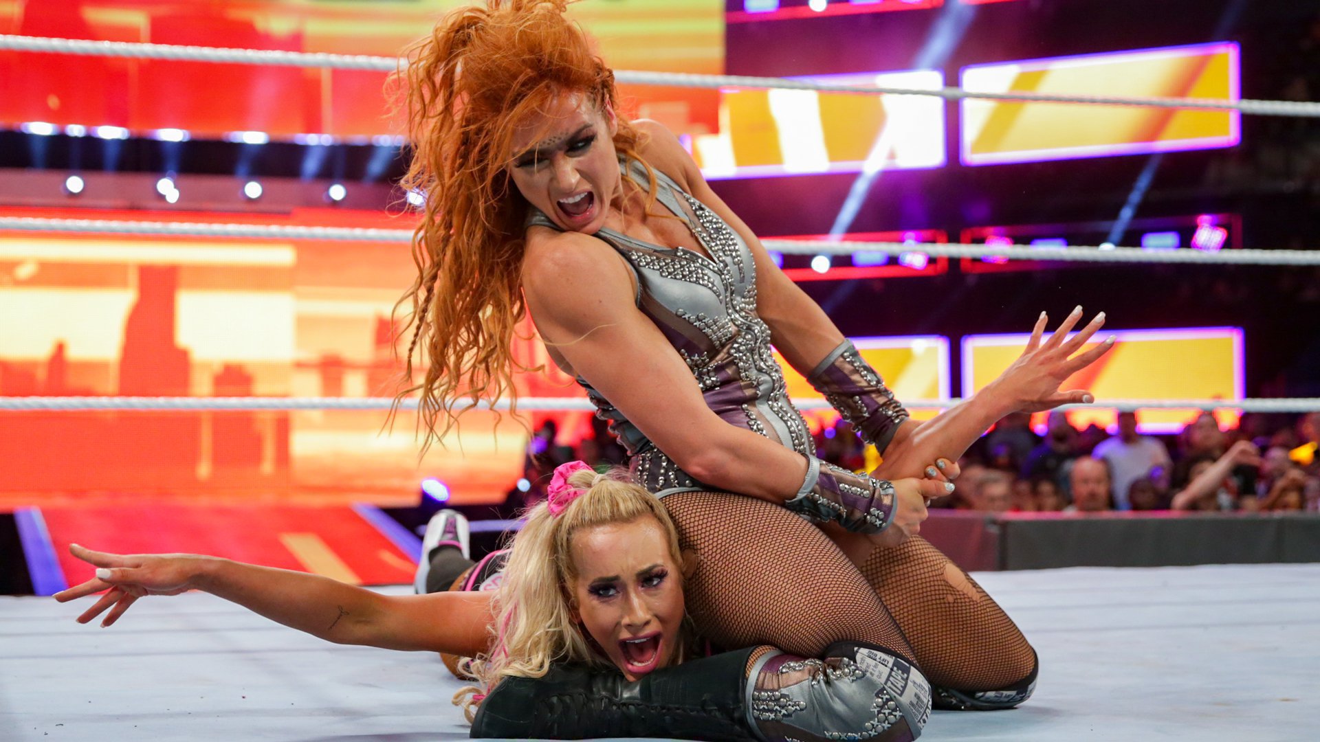 Michelle Mccool Teachers Pets