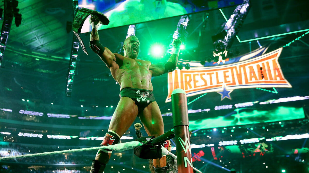 Triple H Vs Roman Reigns Wwe World Heavyweight Championship