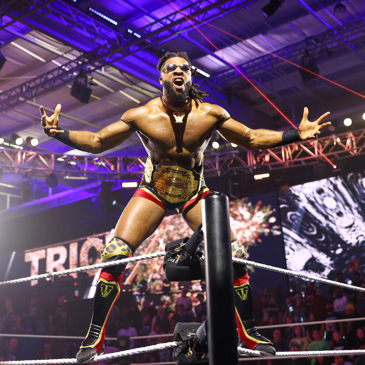 WWE Photo