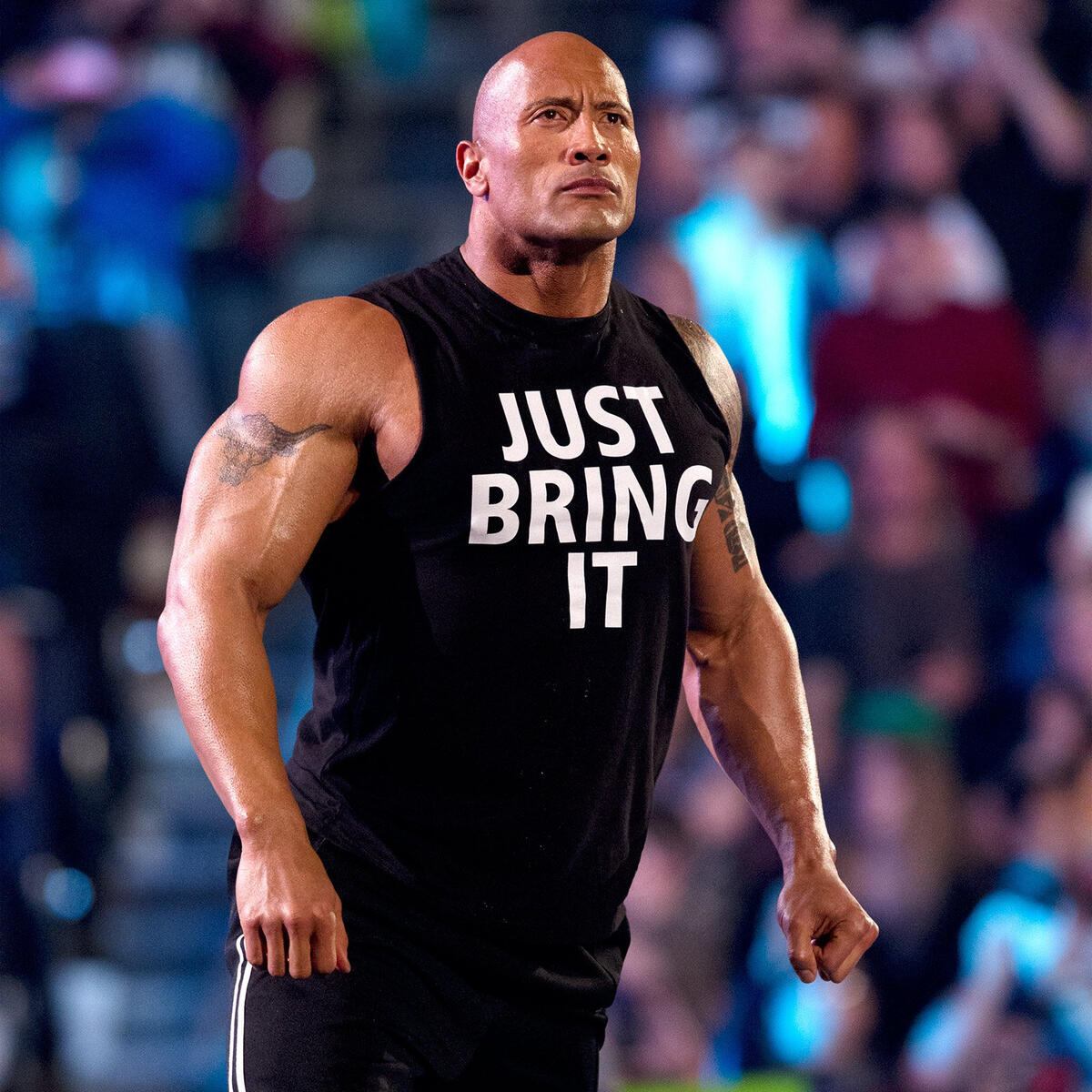 wwe the rock just bring it wallpaper