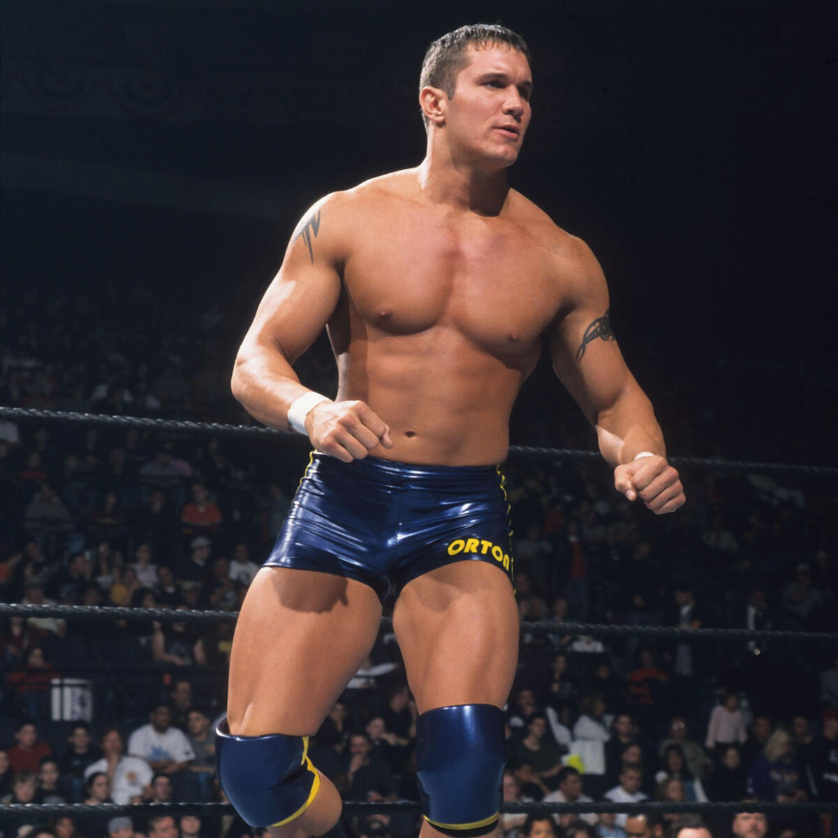 randy orton quotes and sayings