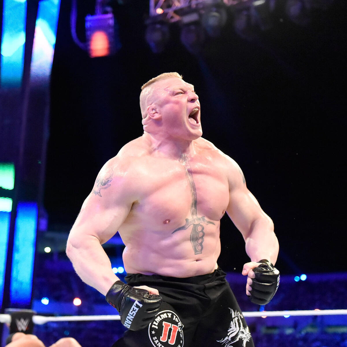 Goldberg Vs Brock Lesnar Universal Championship Match Photos Wwe