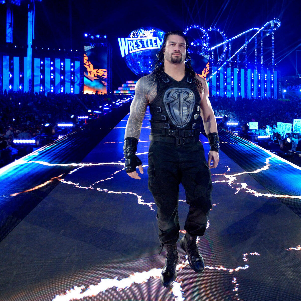 Roman Reigns Vs The Undertaker Wwe