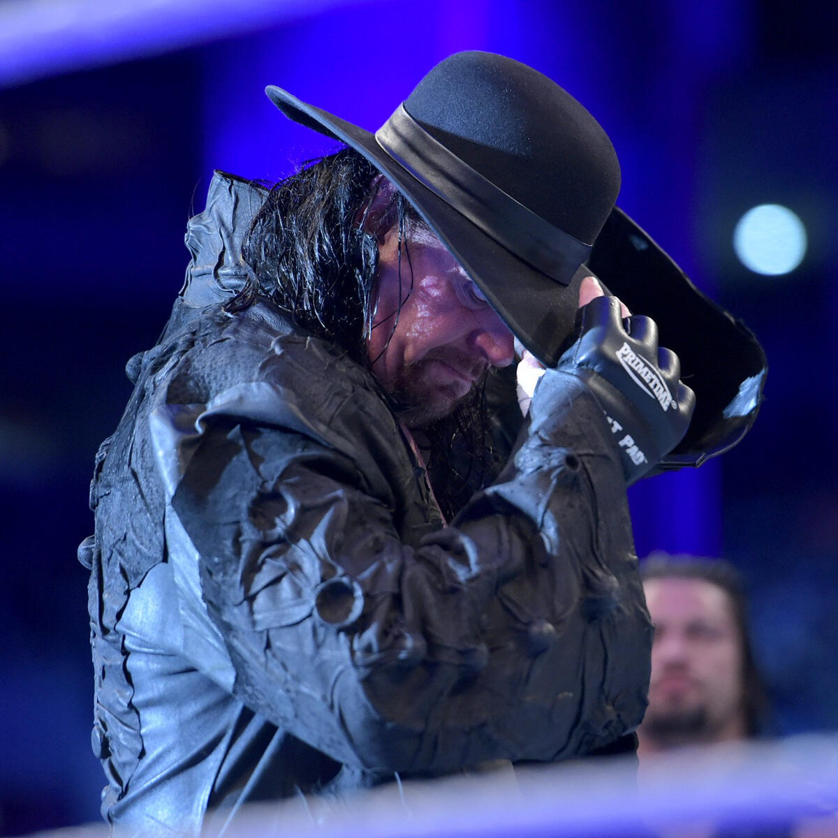 Roman Reigns Vs The Undertaker Wwe