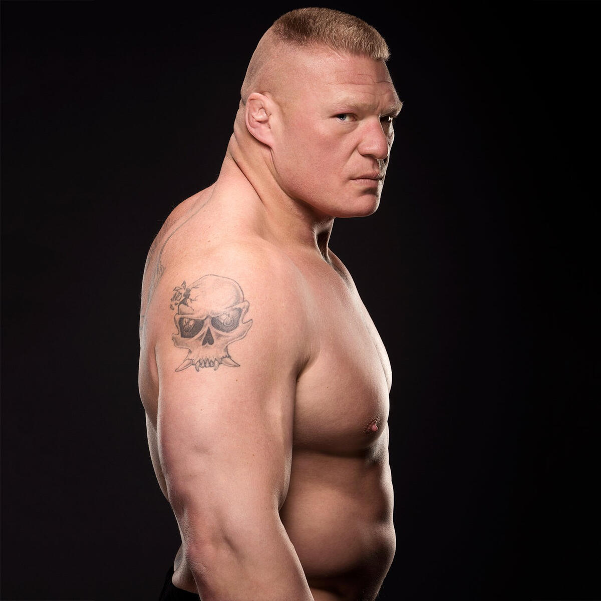 Brock Lesnar tattoos What do the WWE legends sword on chest pointing to  neck and demon on back ink REALLY mean  The US Sun  The US Sun