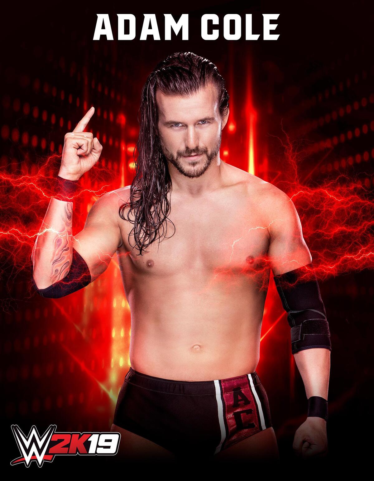 WWE Photo