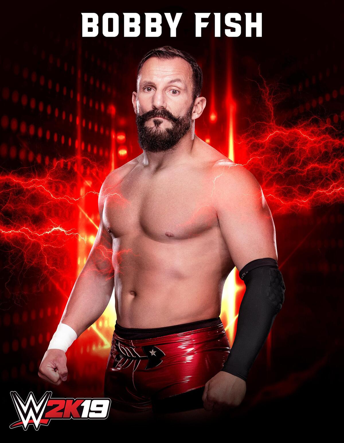 WWE Photo