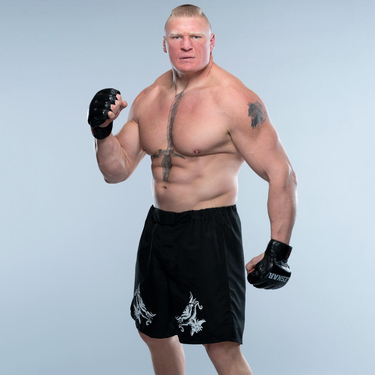Check Out Universal Champion Brock Lesnar's First WWE Photoshoot In