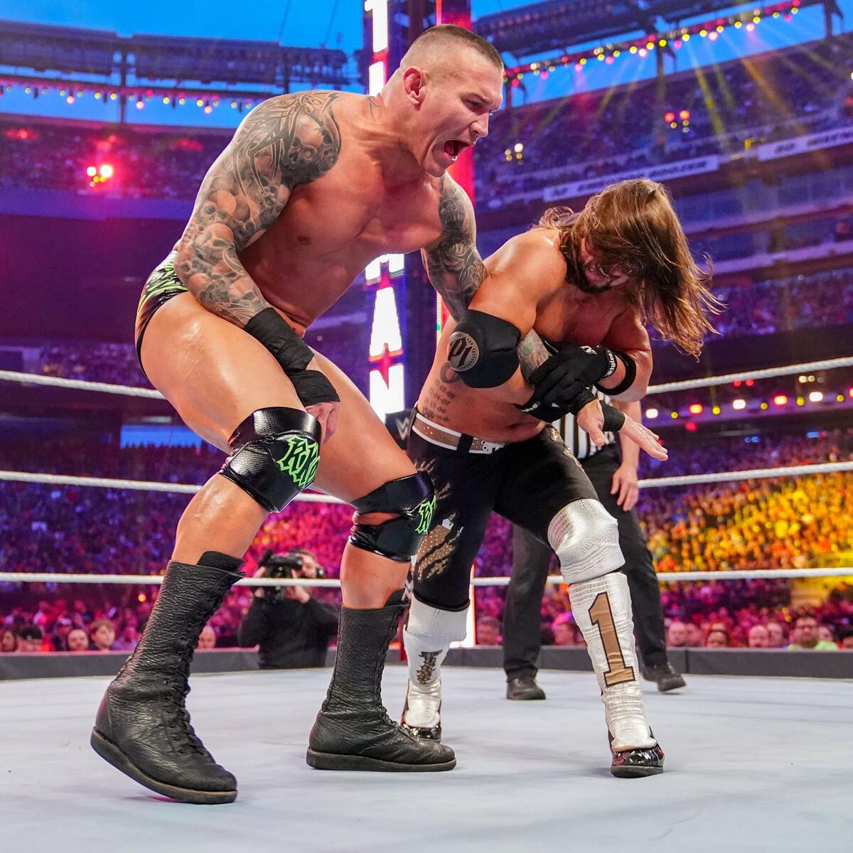 Aj Lee And Randy Orton Married