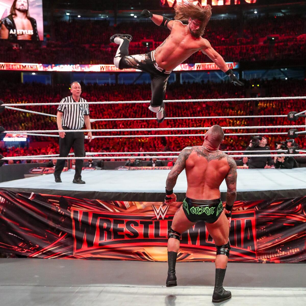 Aj Lee And Randy Orton Together