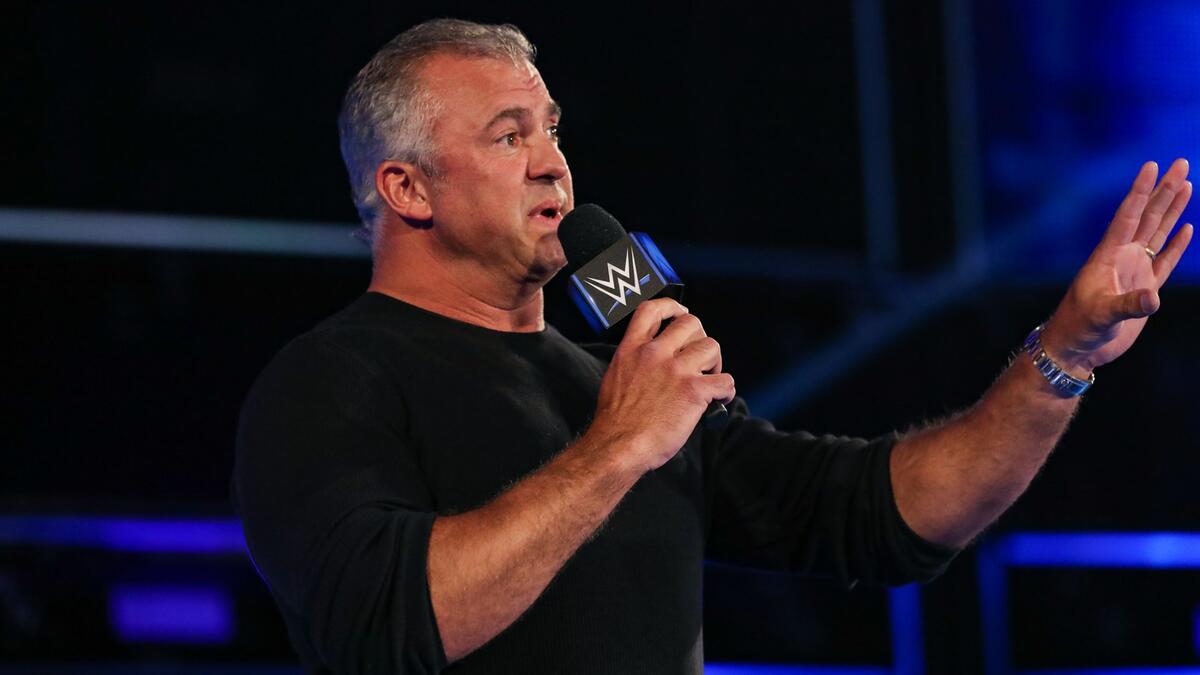 Shane calls him a âlowlifeâ and is fining him $100,000 for putting his hands on Elias, who was in a special enforcer capacity at SummerSlam.