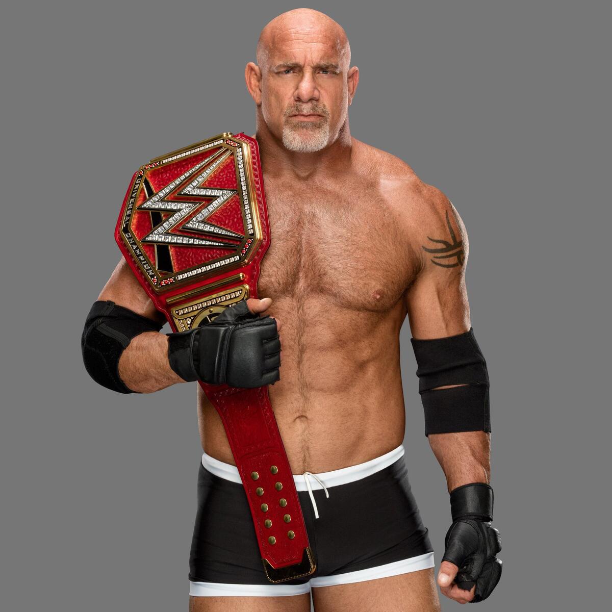 Hall Of Universal Champions Photos Wwe - 