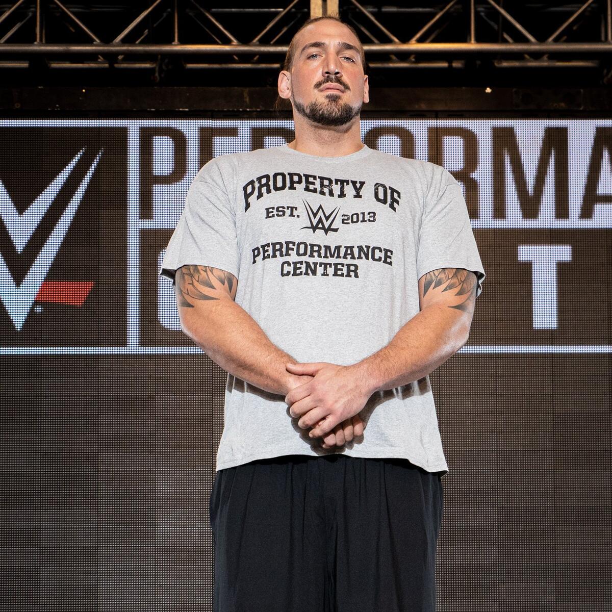 Los contratados en el 2020 - TeamWWEChile