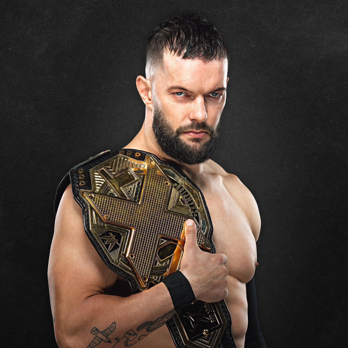 champion Vilje perspektiv Hall of NXT Champions: photos | WWE