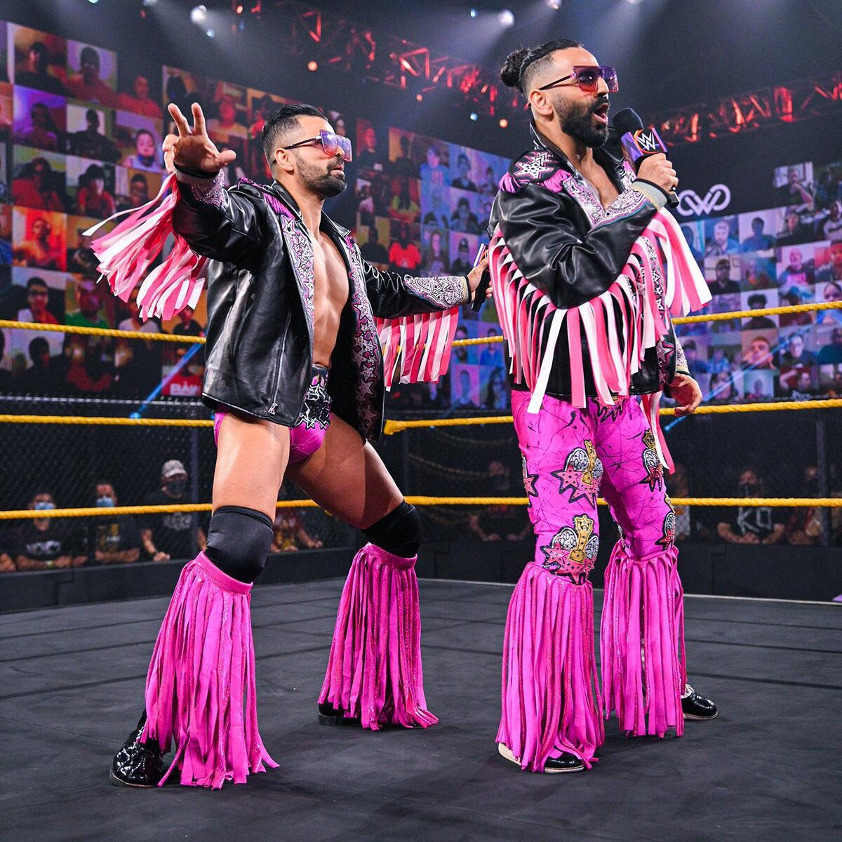 WWE Photo
