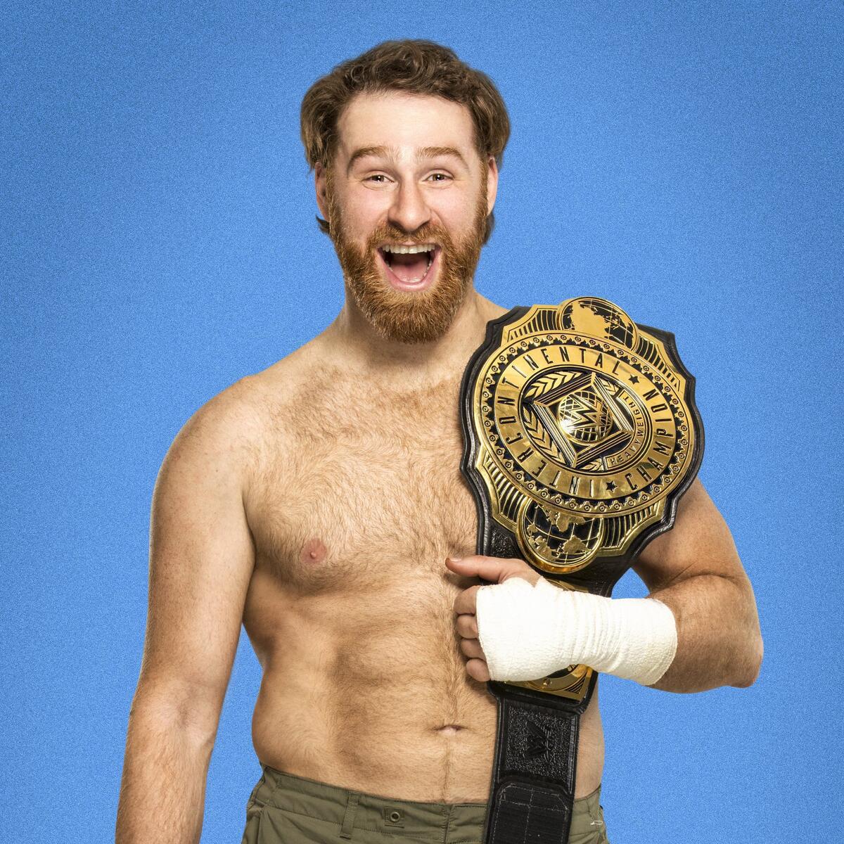 Sami Zayn