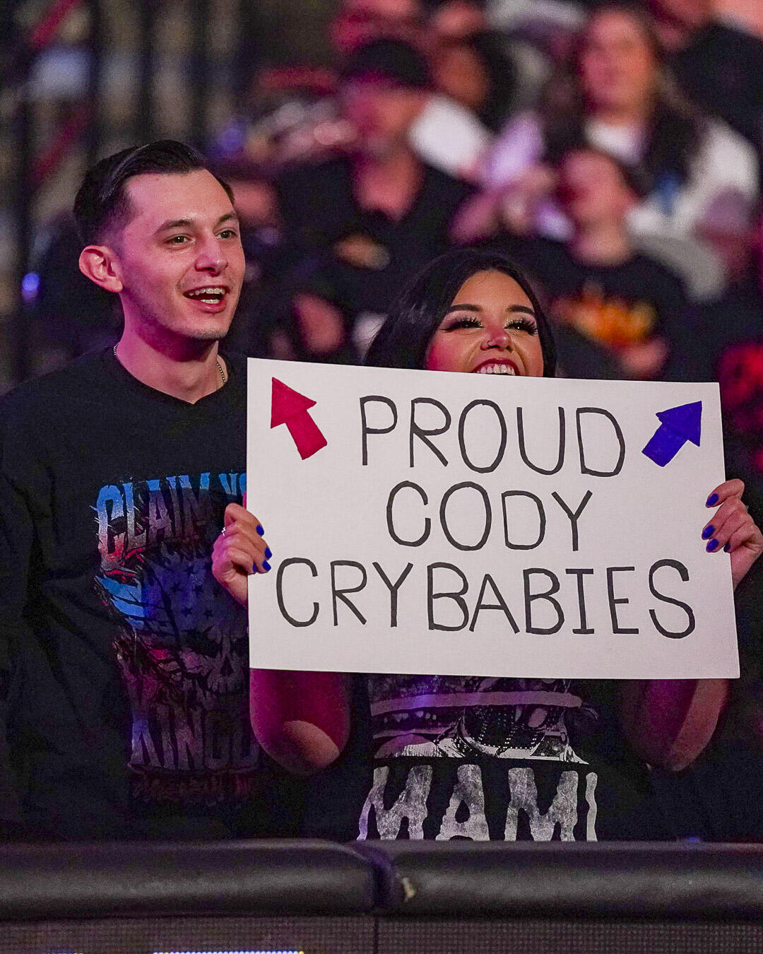 What Are Fan Signs