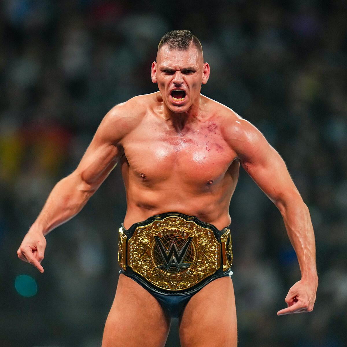 WWE Photo