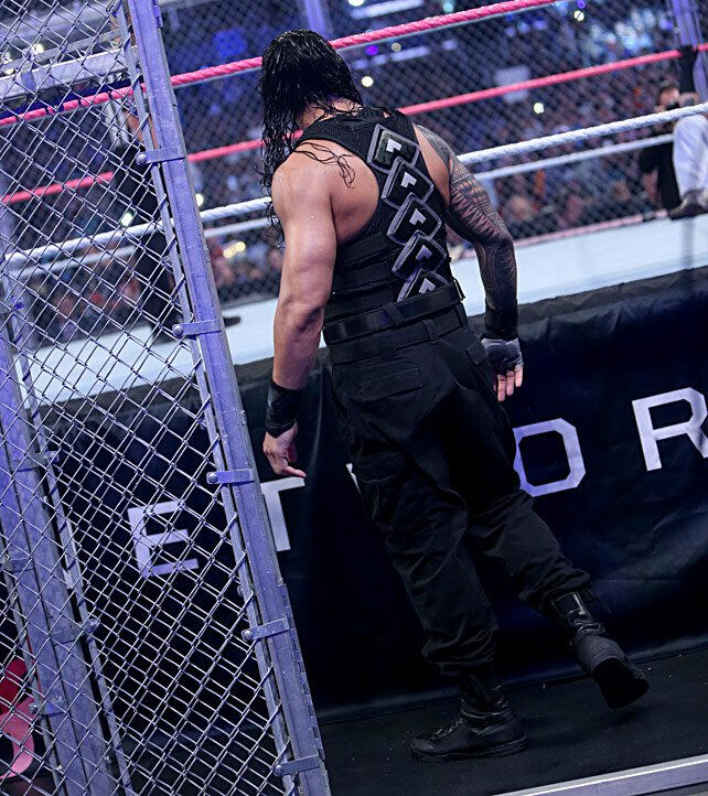 Roman Reigns Vs Bray Wyatt Hell In A Cell Match Photos Wwe