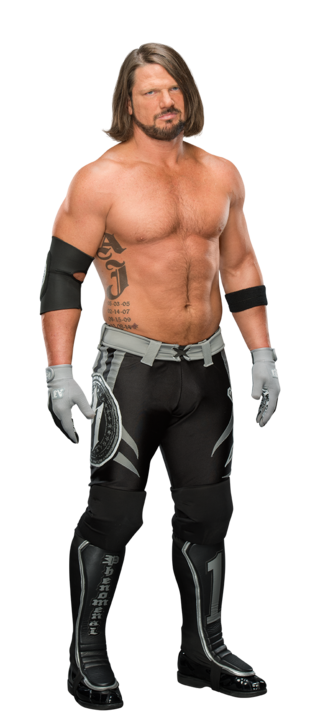 https://www.wwe.com/f/styles/gallery_img_s/public/all/2016/12/AJ_Styles_stat--37783c9a172ebc7416045d07b87b8b26.png