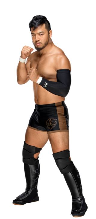 Hideo Itami