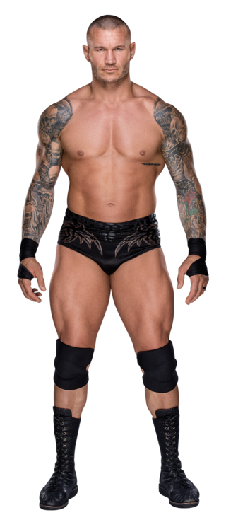 https://www.wwe.com/f/styles/gallery_img_s/public/all/2018/07/Randy_Orton_stat--2f86651c46695b8b2ed548e1d2aa93b6.png