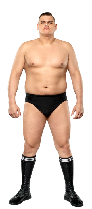 https://www.wwe.com/f/styles/gallery_img_s/public/all/2019/03/walter_stat--9d10aabda5d17283e54913da6d446c7d.png