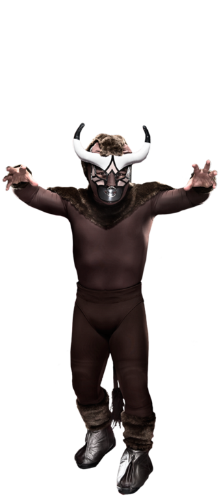 El Torito