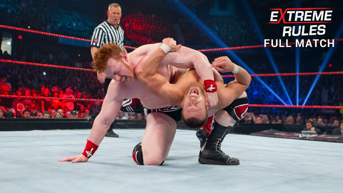 Image result for daniel bryan sheamus extreme rules"