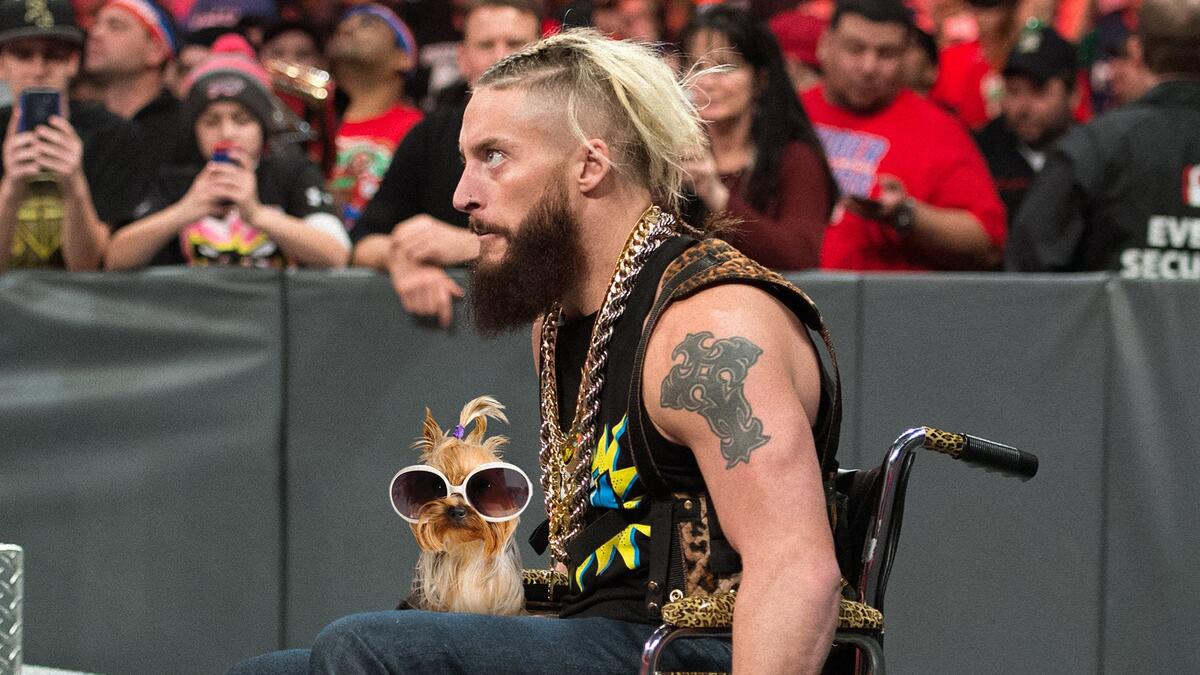wwe-superstars-with-puppies-photos-wwe
