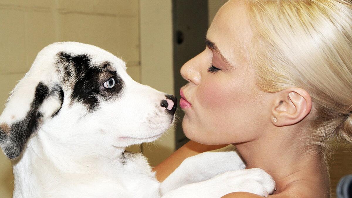 superstars-and-divas-play-with-puppies-photos-wwe