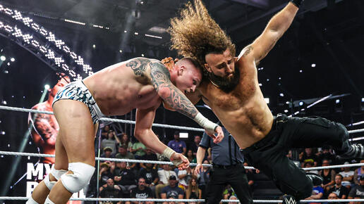 WWE Photo