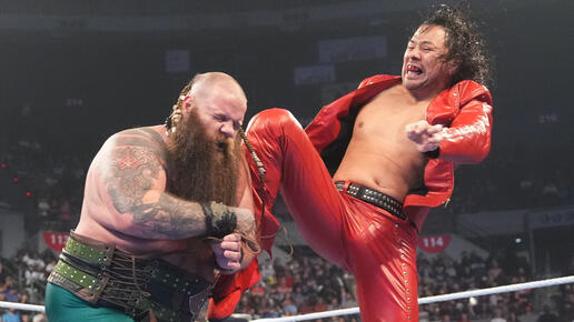 WWE Photo