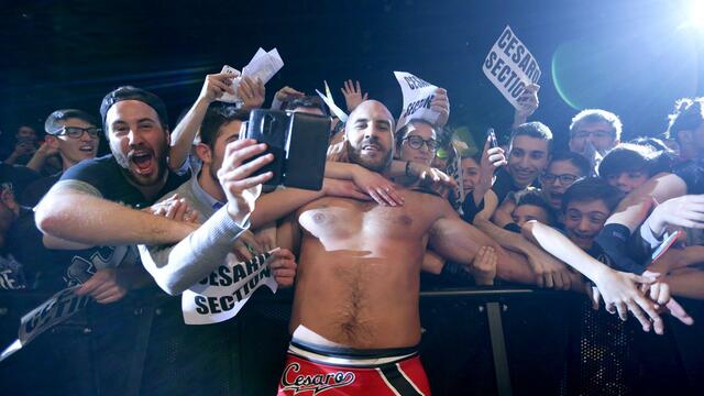 WWE Photo