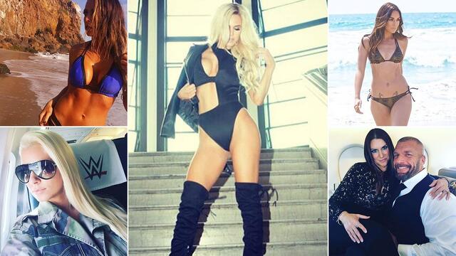 WWE Photo