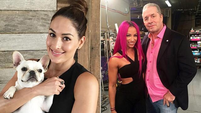 WWE Photo