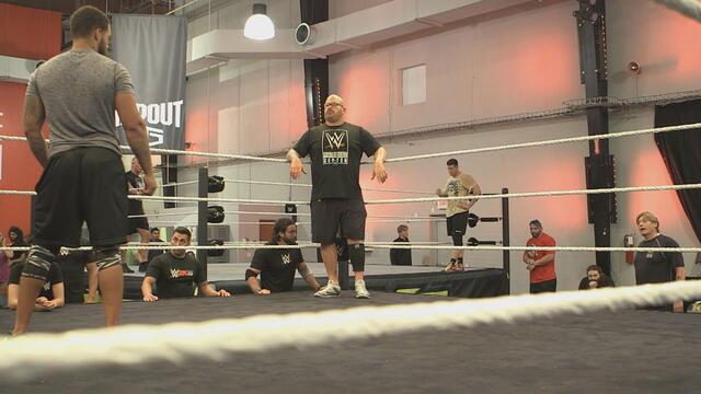 WWE Photo
