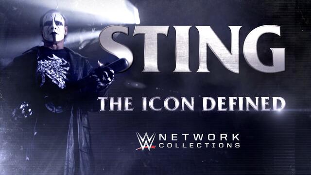 ntin_collect_sting--