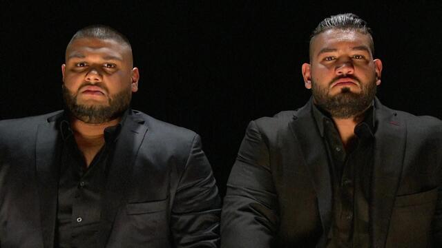 Resultado de imagen de WWE AOP"
