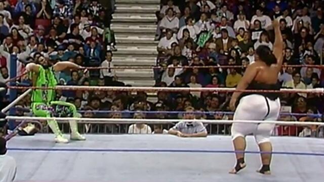 WWE Photo